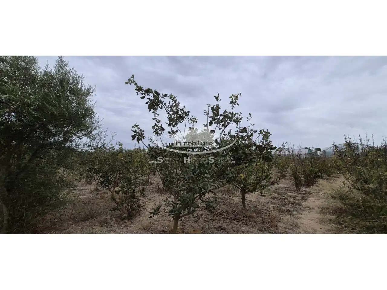 Terreno rustico in vendita a Calle Real de Chapitel, imagen 9