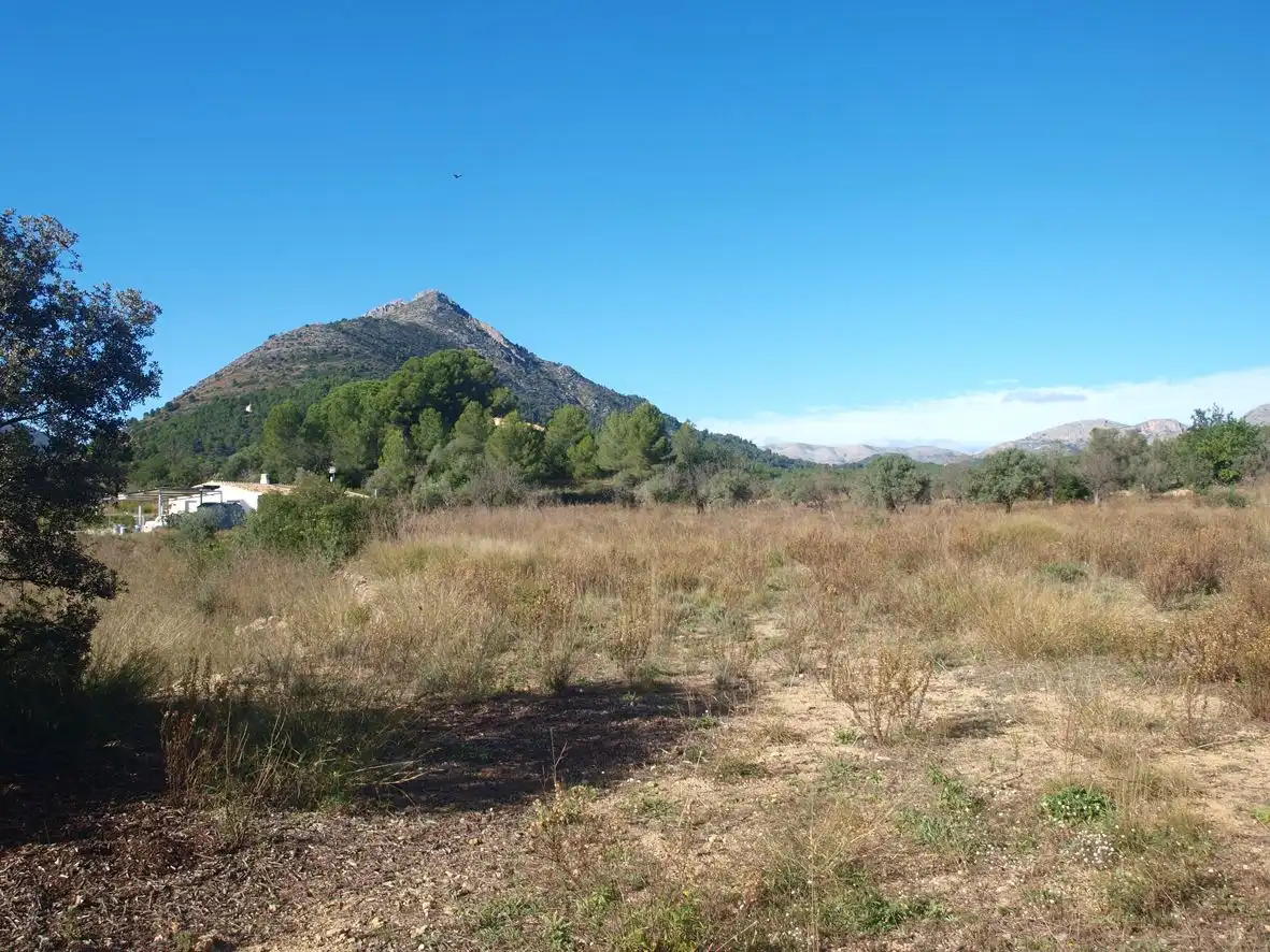 Terreny residencial en venda a Murla