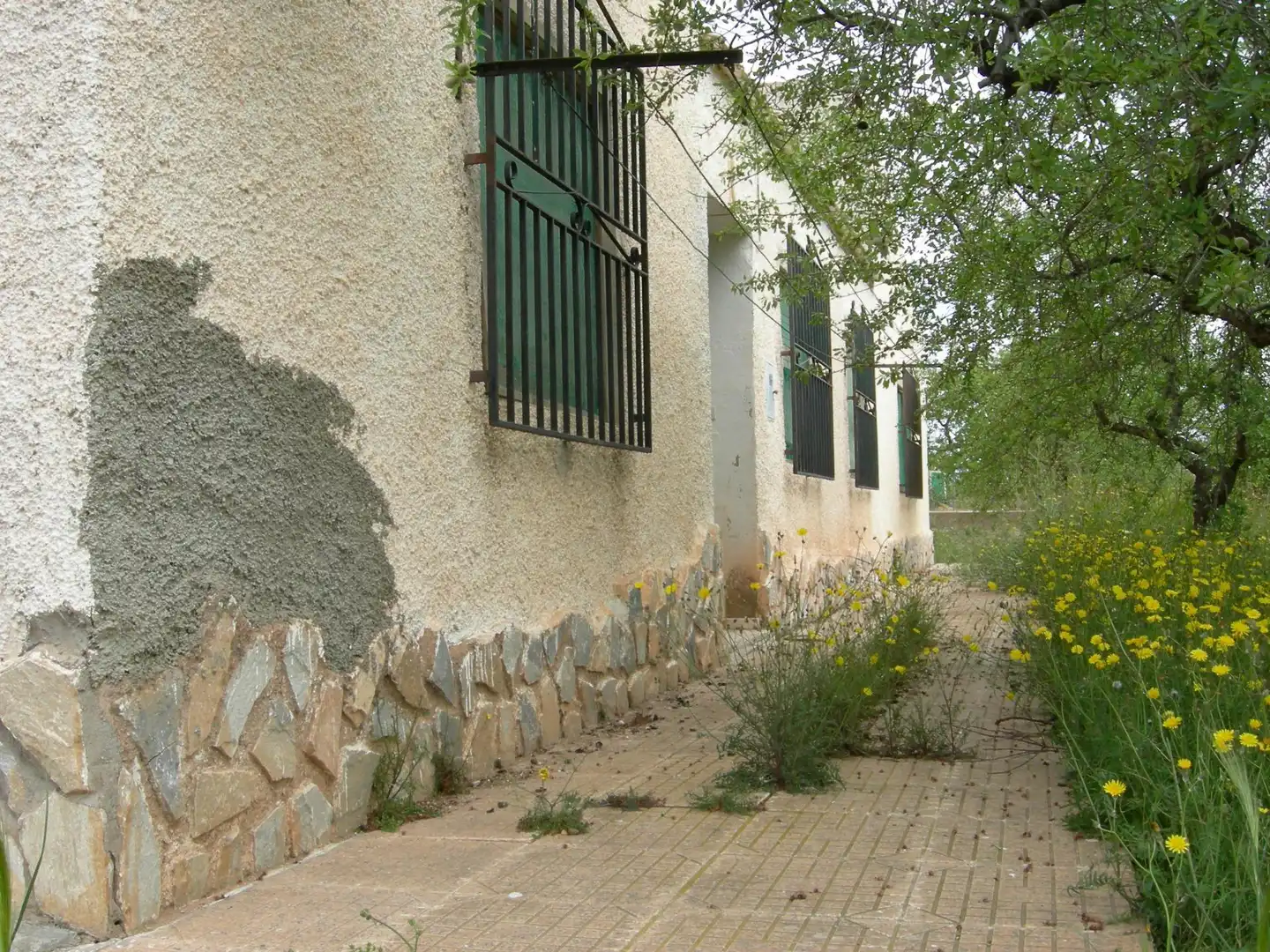 Vista exterior de Casa o chalet en venta en Fuente Álamo de Murcia