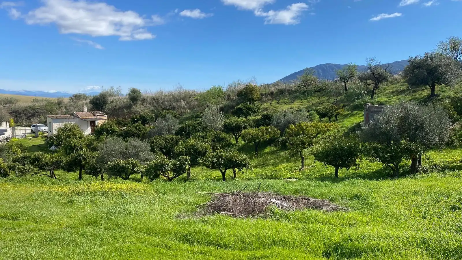 Terreni e lotti in vendita a Alquería - Torrealquería, imagen 18