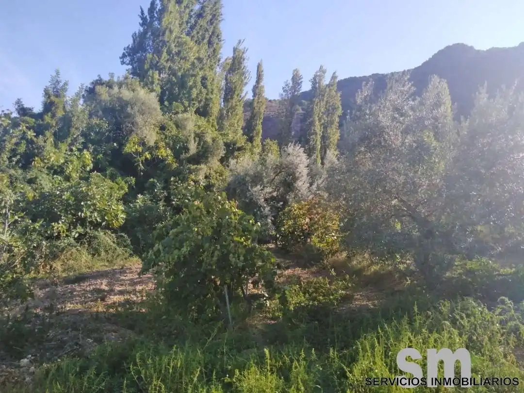Terreno en venta en Zahara