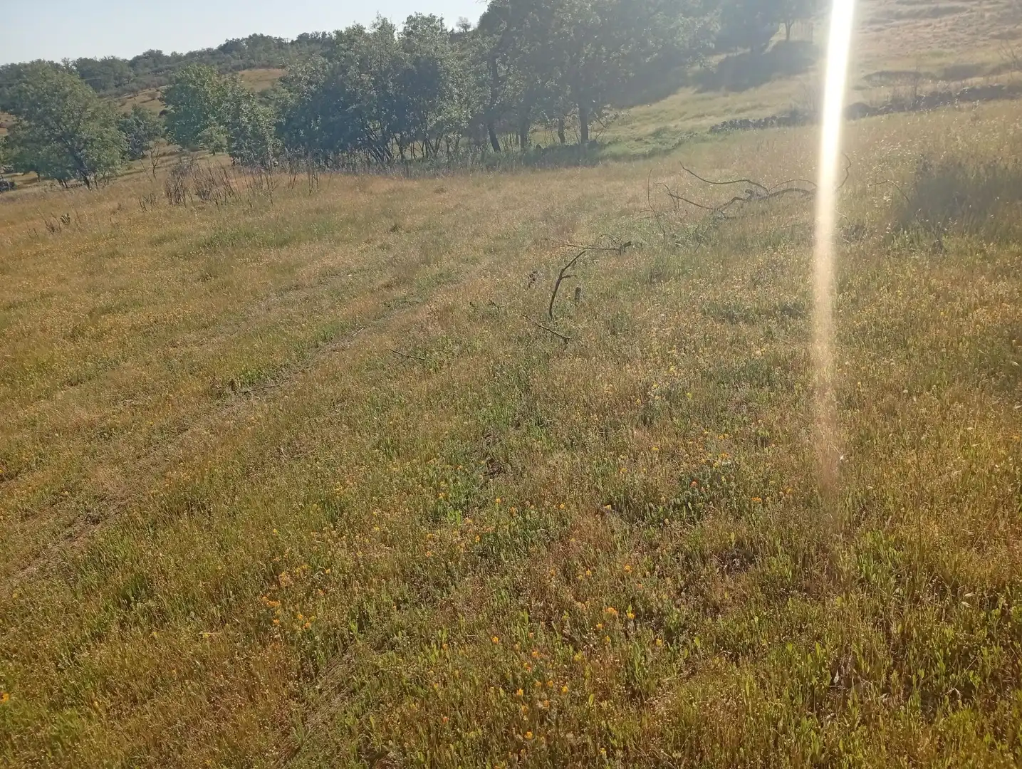 Terreni e lotti in vendita a Villanueva de la Vera, imagen 47