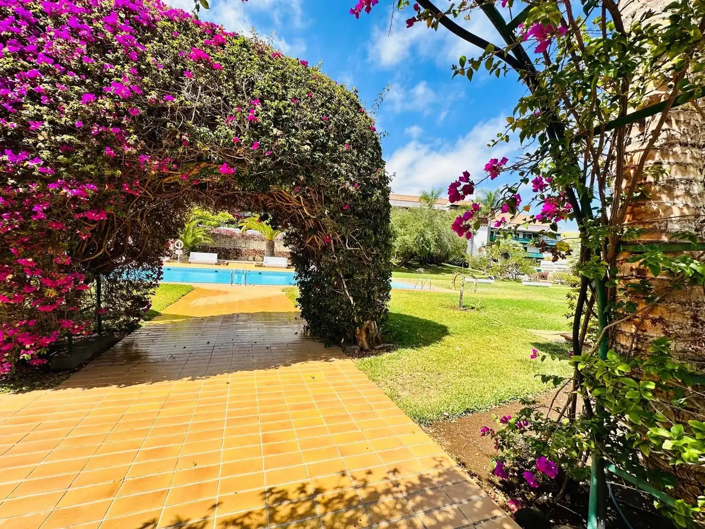 Piscina de Apartamento en venta en Puerto de la Cruz con Terraza y Piscina comunitaria