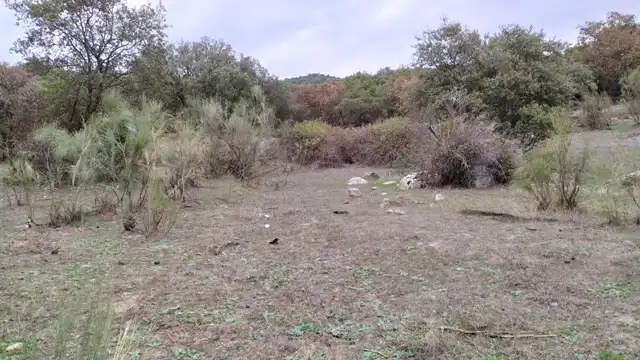 Terreni e lotti in vendita a Fresnedilla, imagen 7