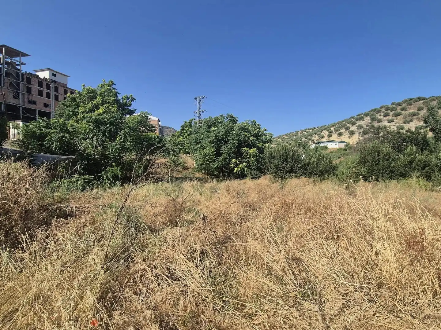 Terreno rústico en venta en Algarinejo, imagen 4