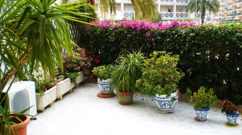Planta baja playa de daimús