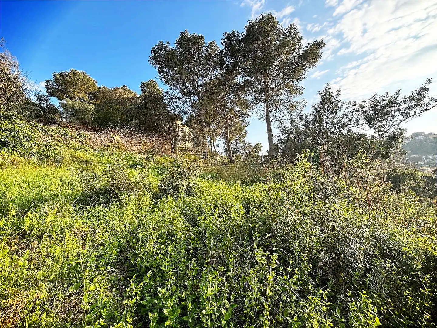 Terreno residencial en venta en Canyelles, imagen 10