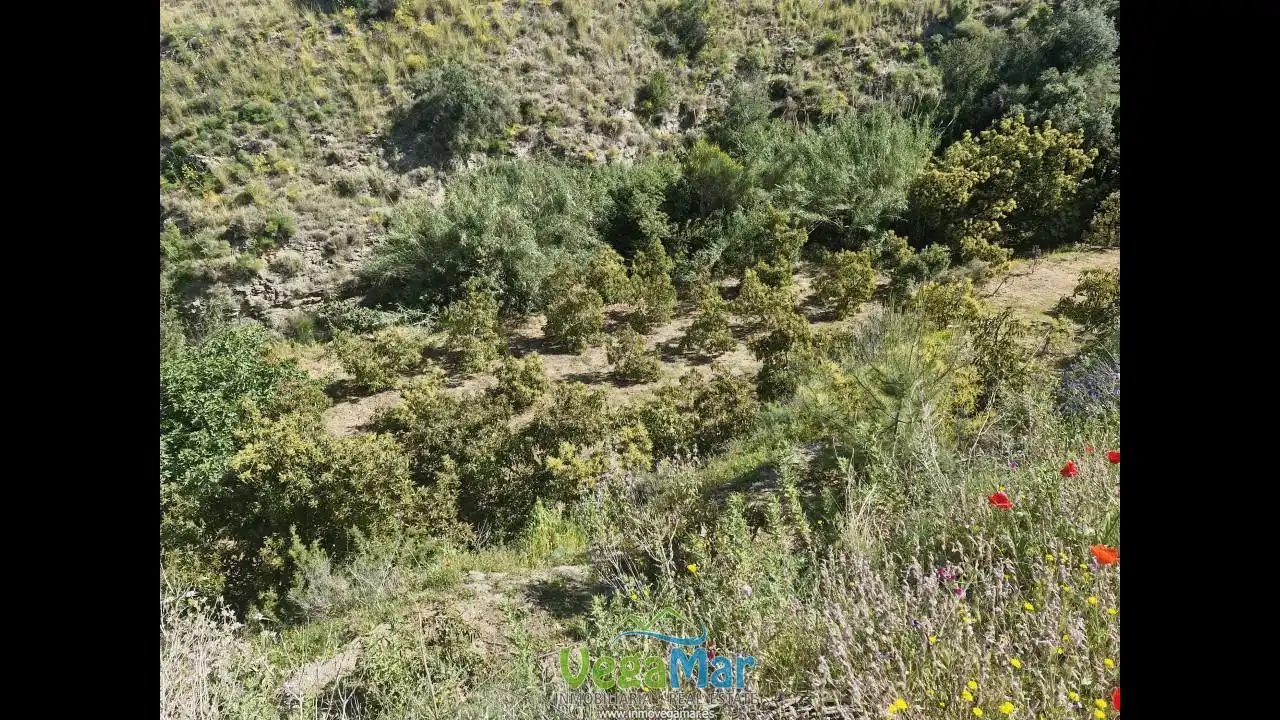 Terreny rústic en venda a Barranco de la Fifa, imagen 9