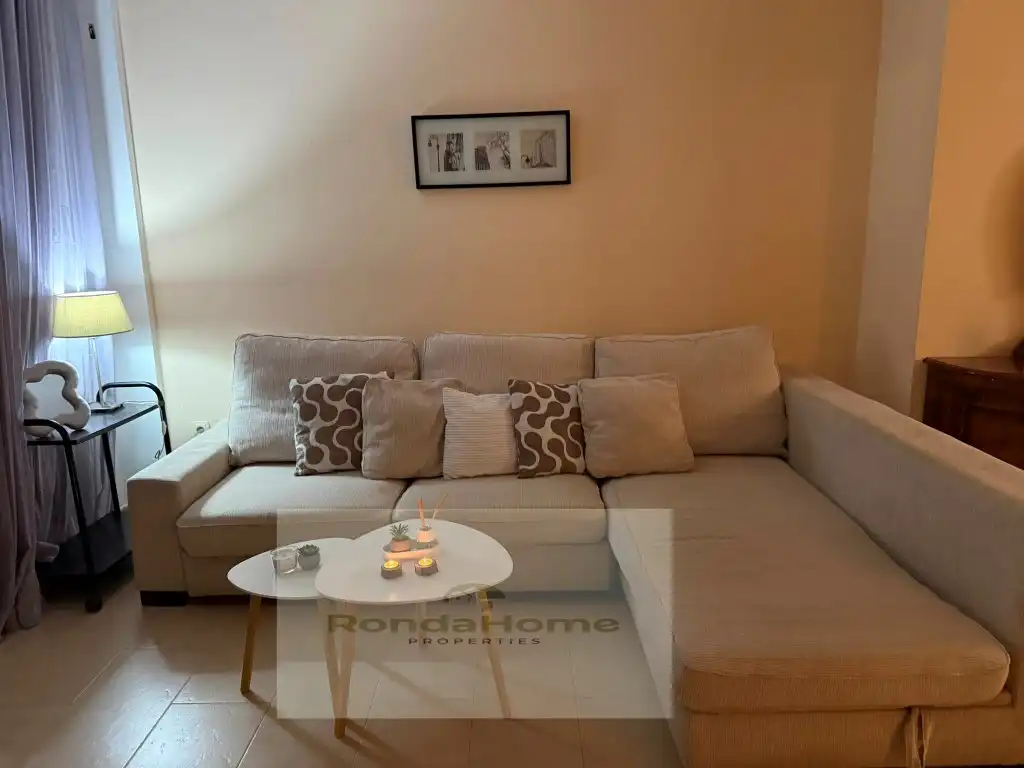 Living room of Flat for rent in Estepona  with Furnished