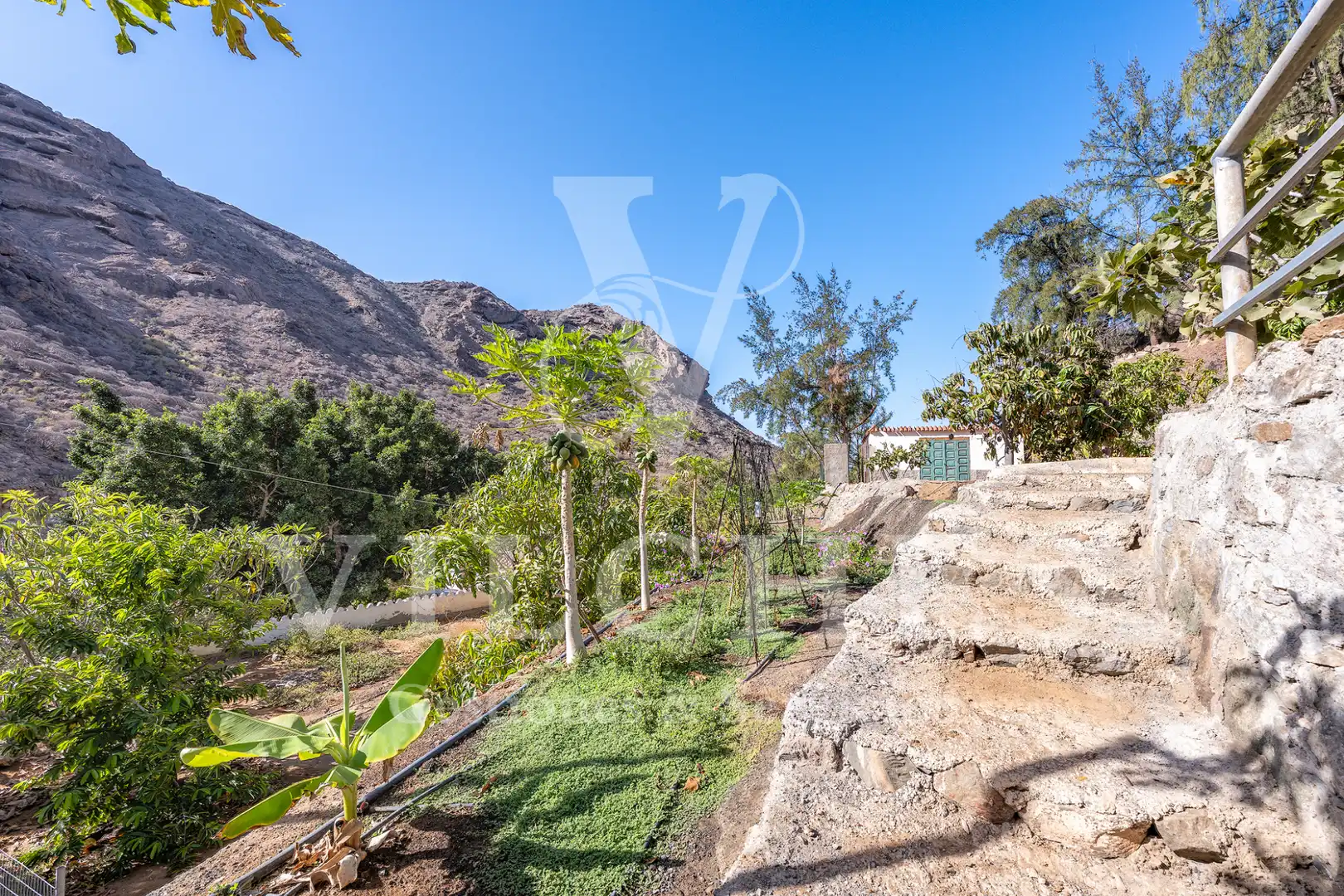 Garten von Grundstücke zum Verkauf in Mogán