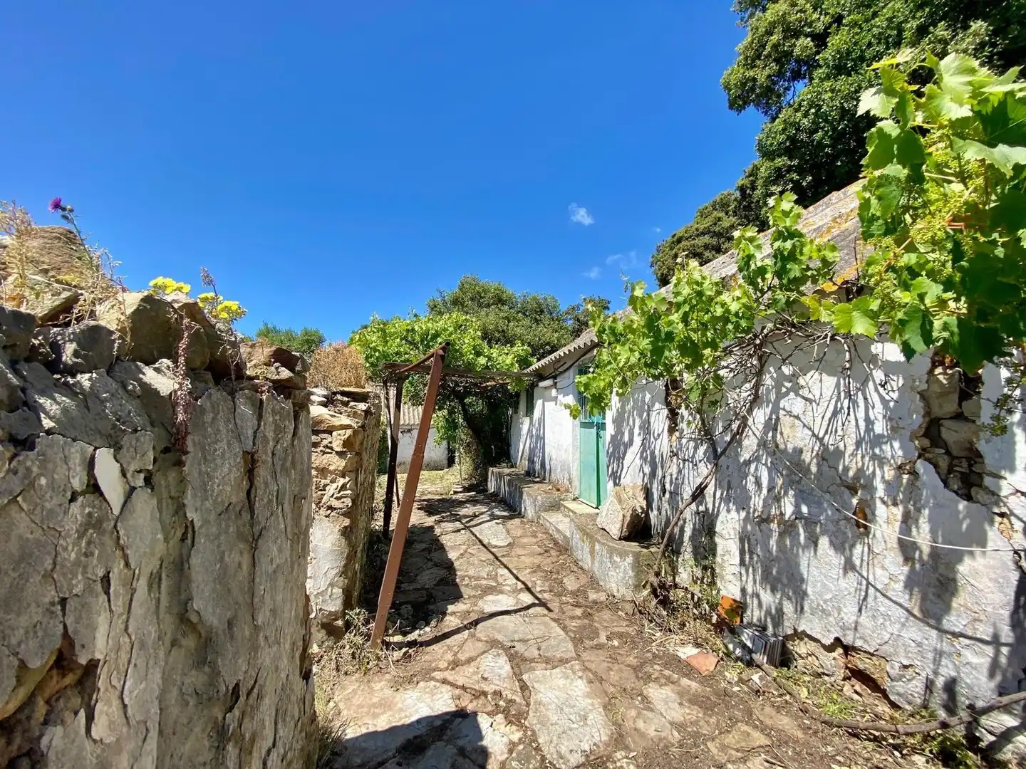Vista exterior de Casa o chalet en venta en Tarifa con Jardín privado y Terraza