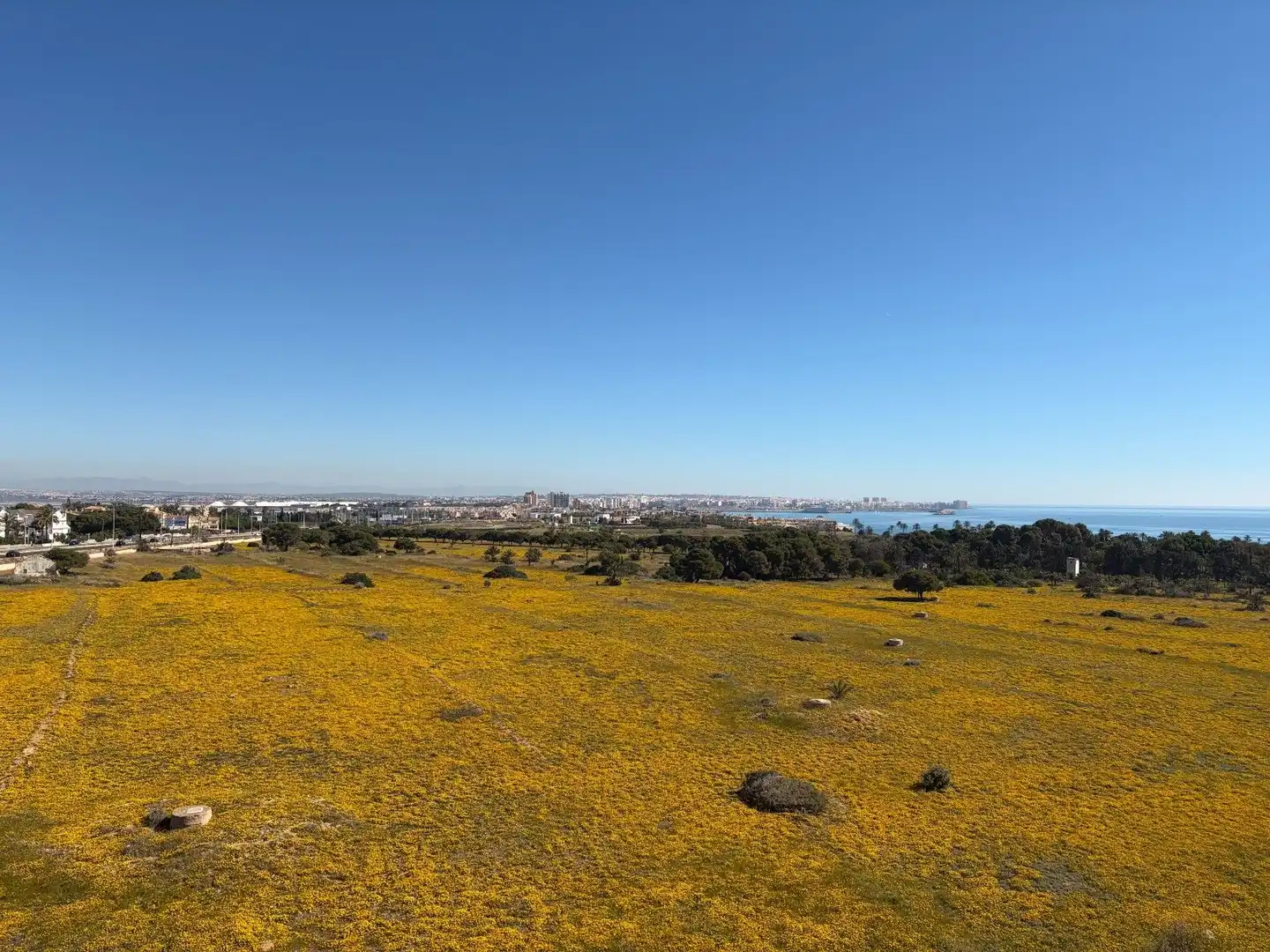 Vista exterior de Ático en venta en Torrevieja con Aire acondicionado, Calefacción y Amueblado