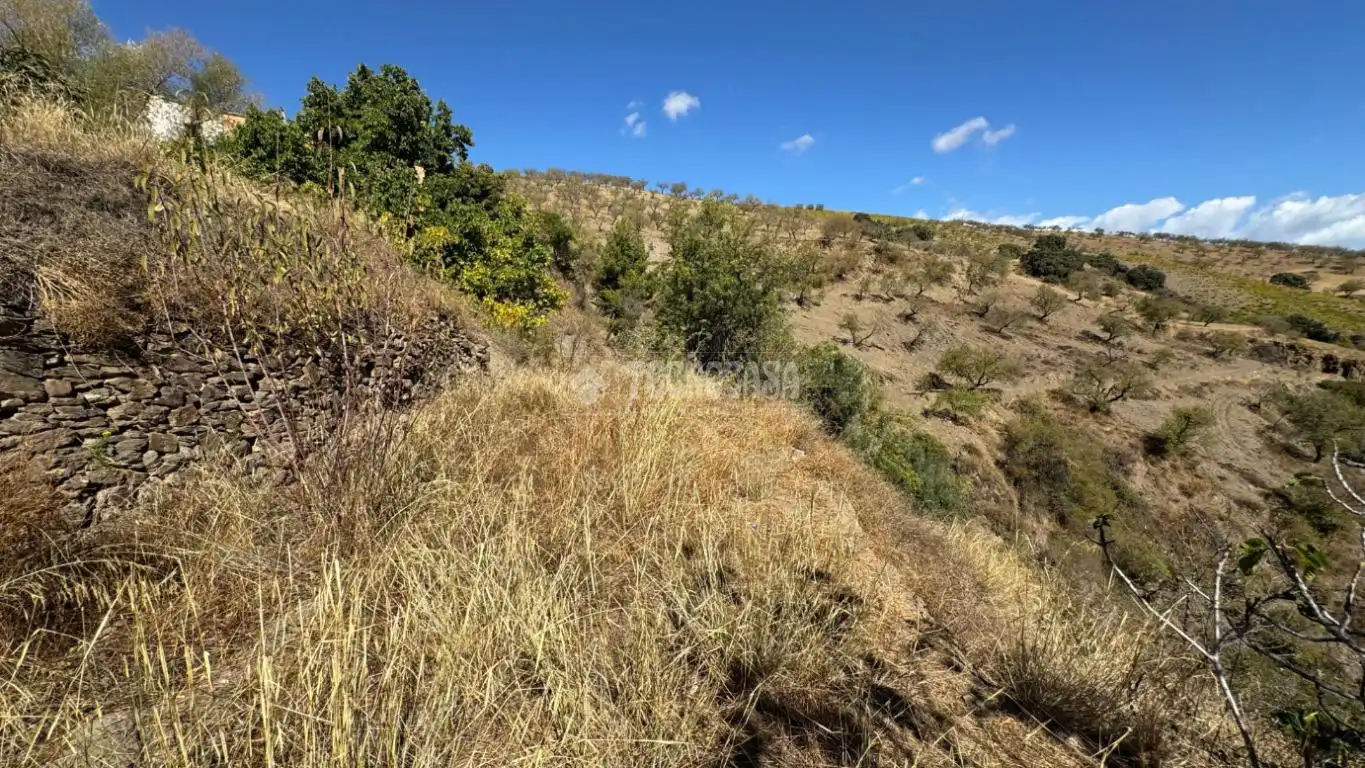 Finca rústica en venta en Albondón con Calefacción