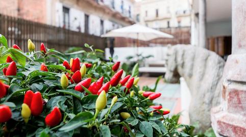 Photo 4 of Flat for sale in Sant Pere, Sta. Caterina i la Ribera, Barcelona