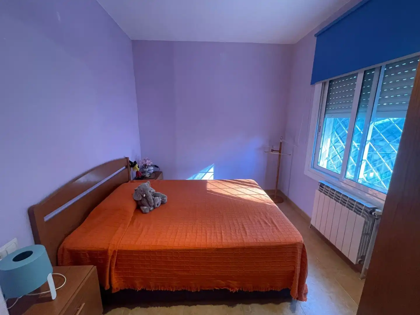 Casa o chalet en venta en Mas Mora - Sant Daniel
