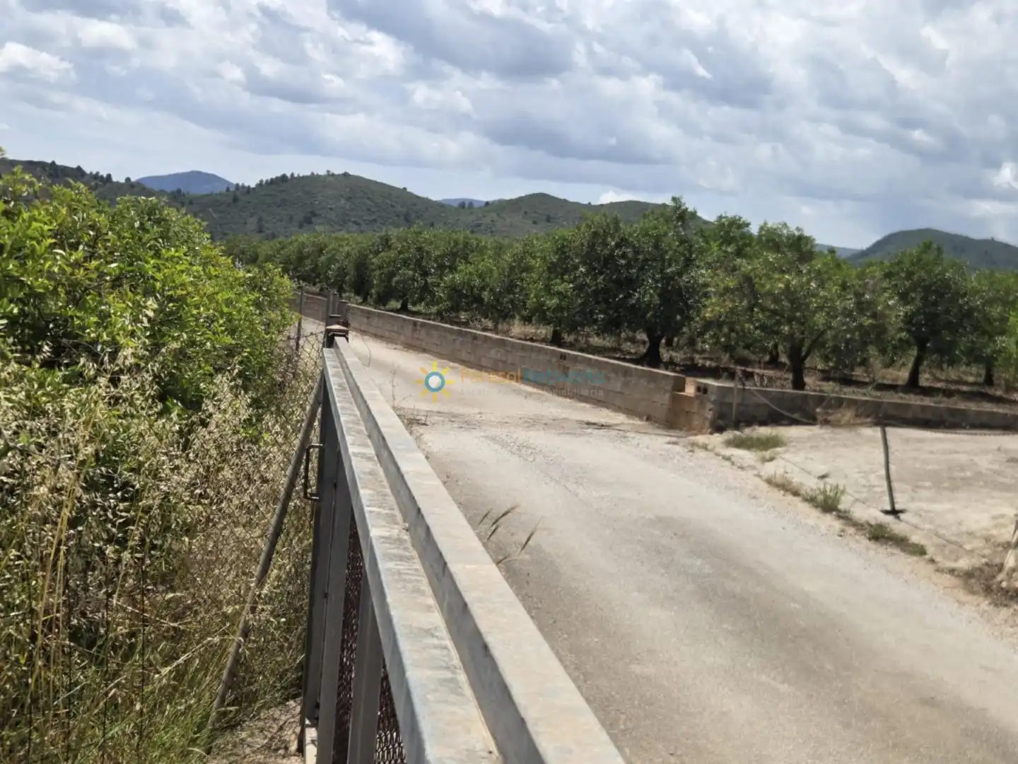 Terreny rústic en venda a Oliva pueblo, imagen 11