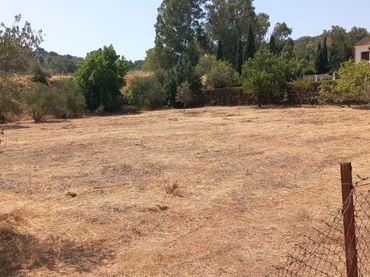 Residential land for sale in Calle LENTISCO