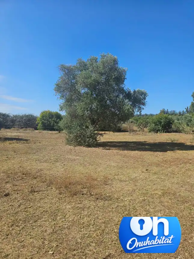 Terrenos y solares en venta en Gibraleón, imagen 13