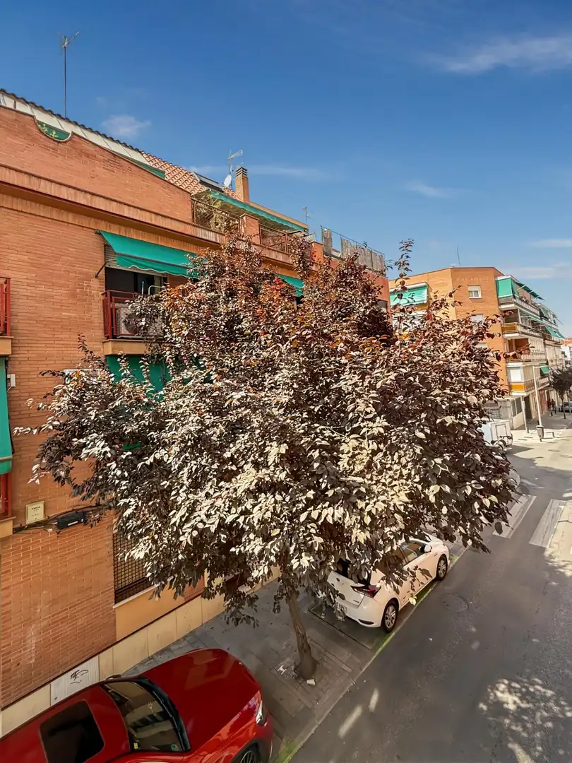 Wohnung zur Miete in Calle de Pinos Baja, Valdeacederas