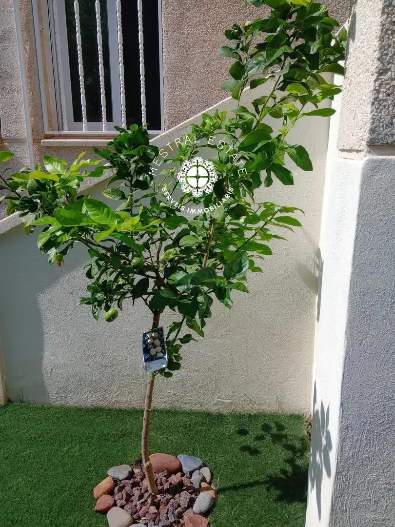Wohnung zum Verkauf in Alvaro Bazan, imagen 7