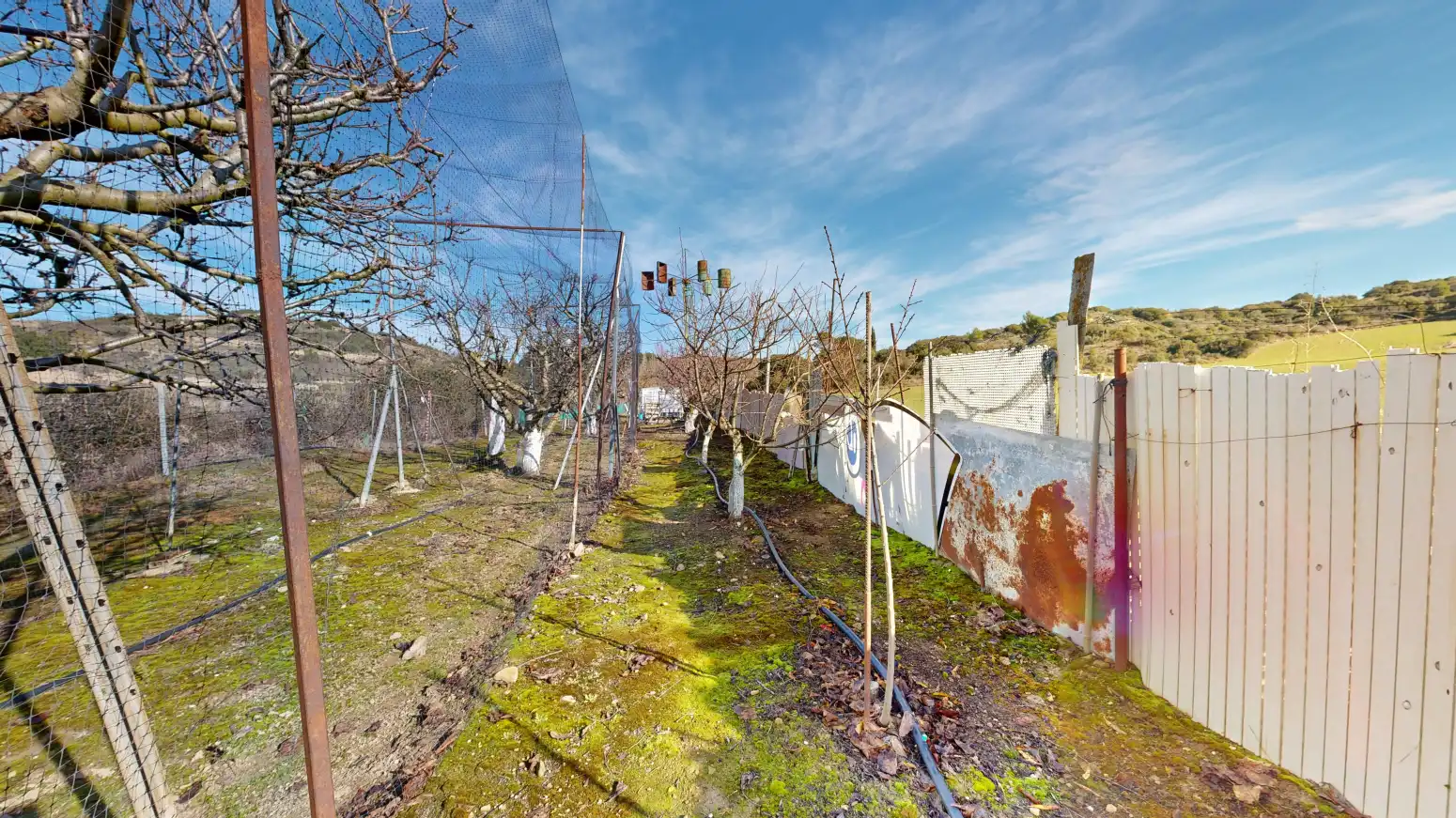 Rural land for sale in Tafalla - TERMINO JUNCAL, imagen 45