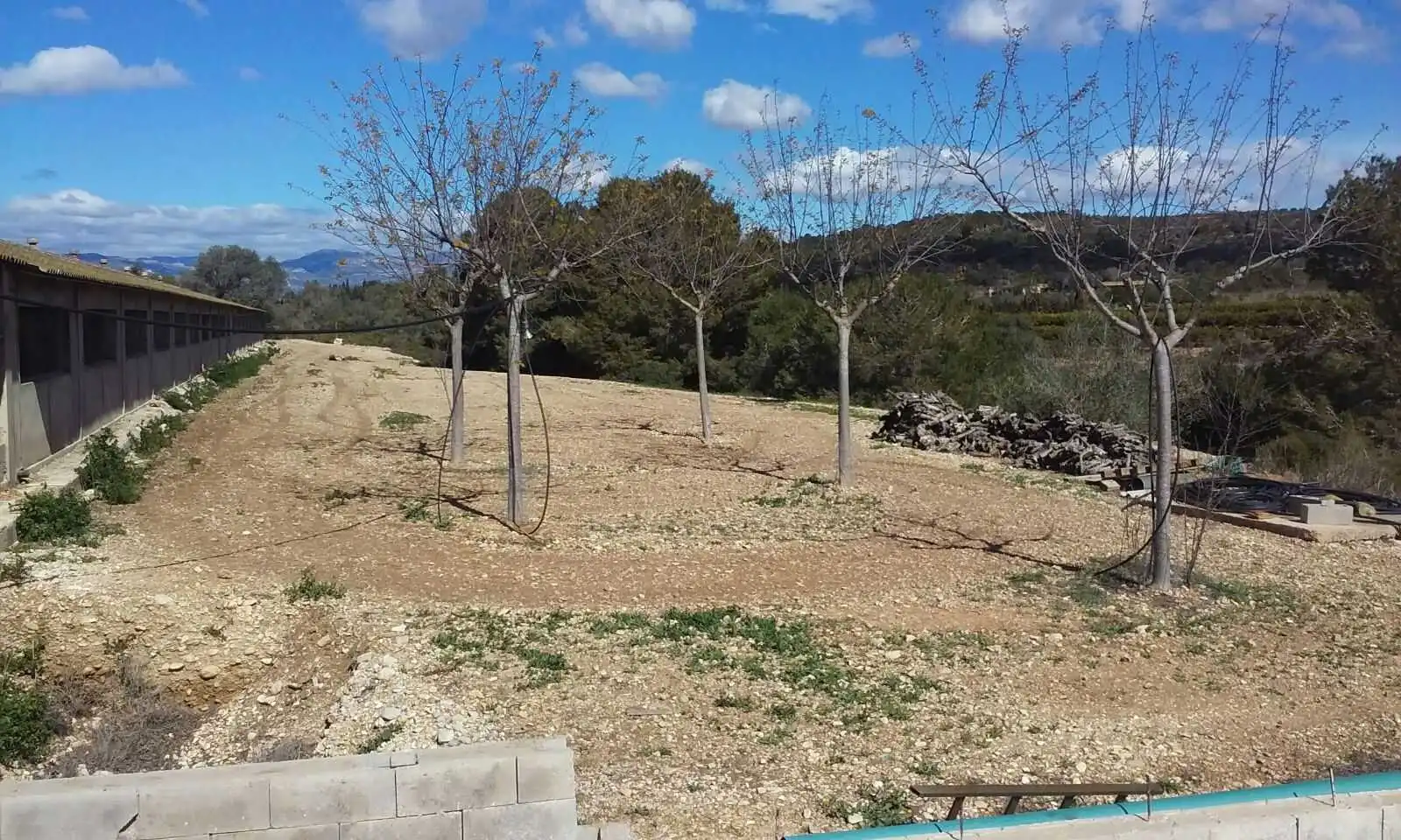 Nave industrial en venta en Traiguera