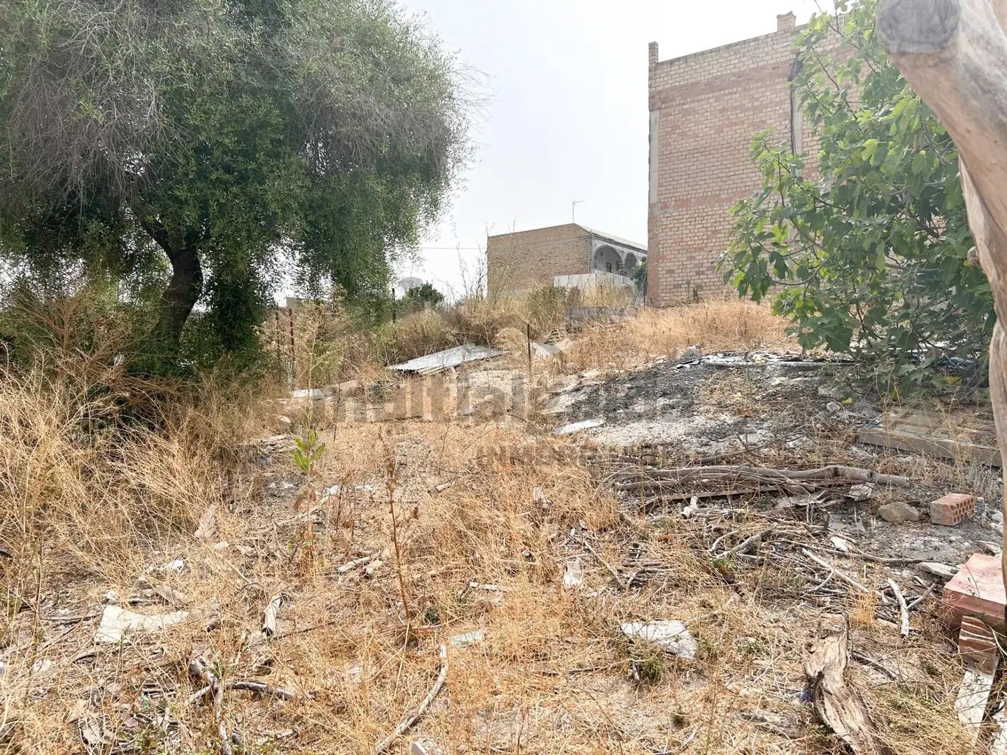 Wohnbaugrundstück zum Verkauf in El Rocío - La Milagrosa, imagen 2