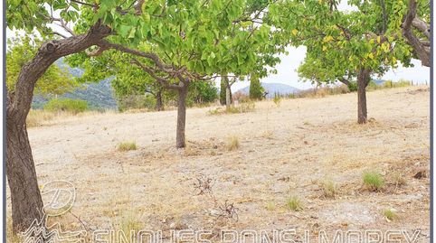 Terreno en venta en Selva, immagine 3