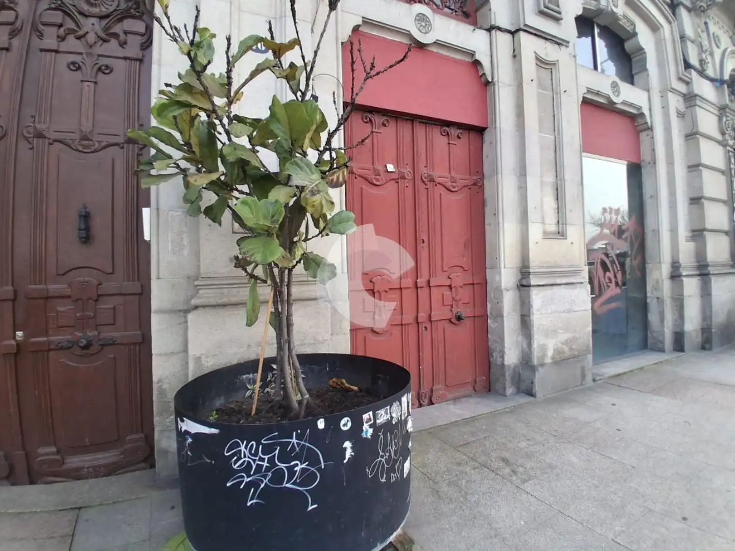 Gewerbefläche zur Miete in Centro Urbano, imagen 4