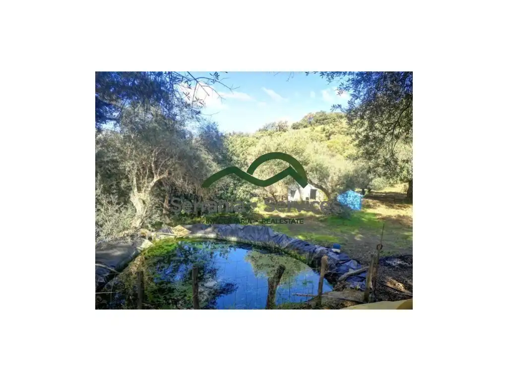 Finca rústica en venda en Genalguacil