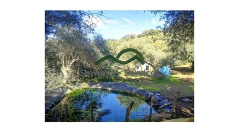 Photo 2 of Country house for sale in Genalguacil, Málaga