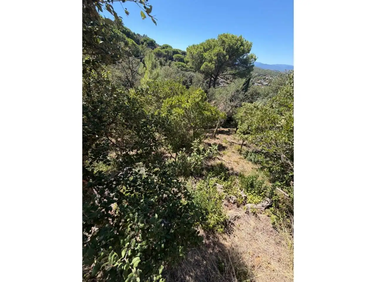 Wohnbaugrundstück zum Verkauf in Calle Sant Nicolàs, imagen 5