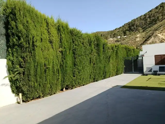 Casa o chalet en venta en Avenida de la Paz, 9, Rágol