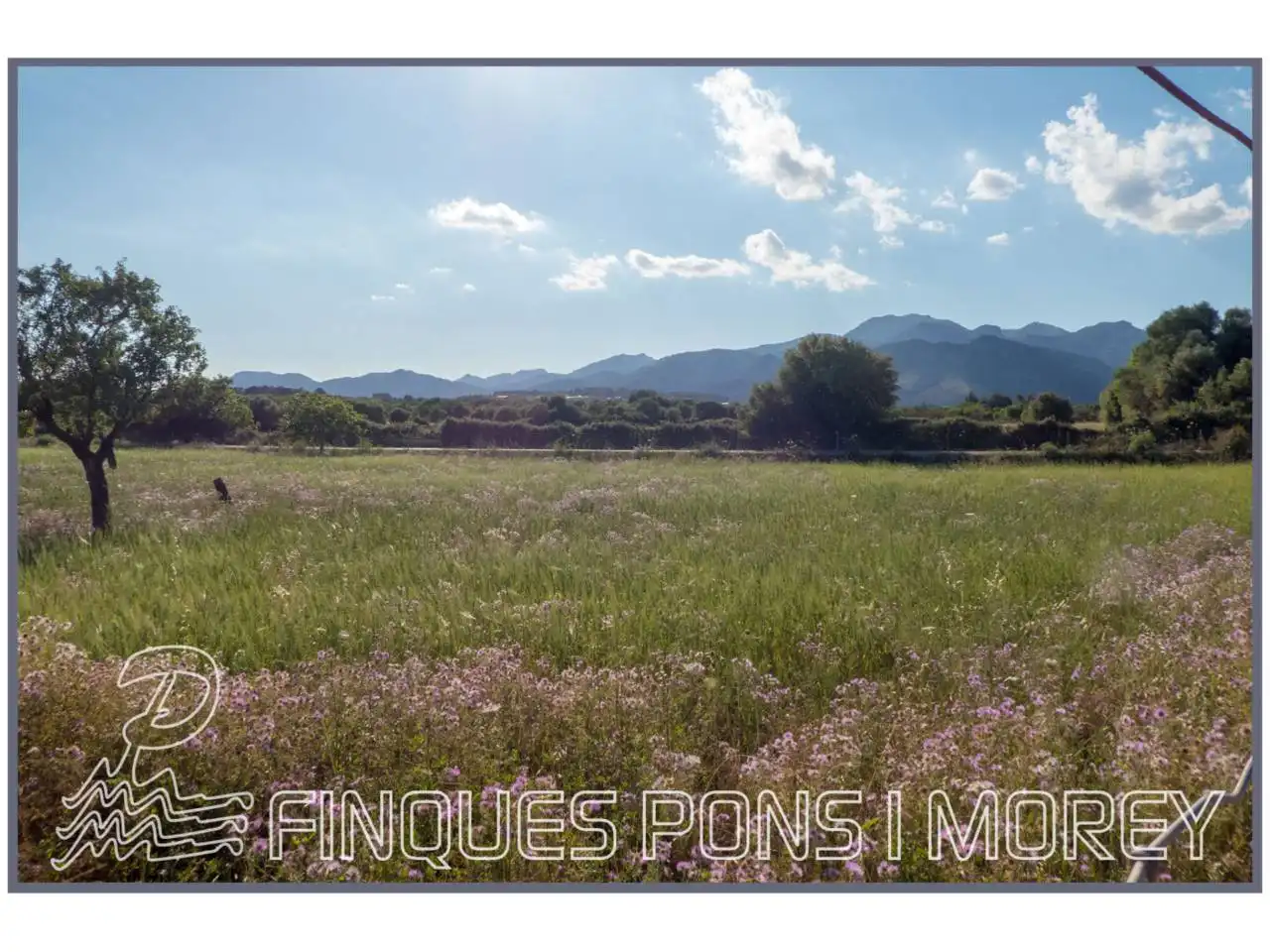 Finca rústica en venda en Campanet