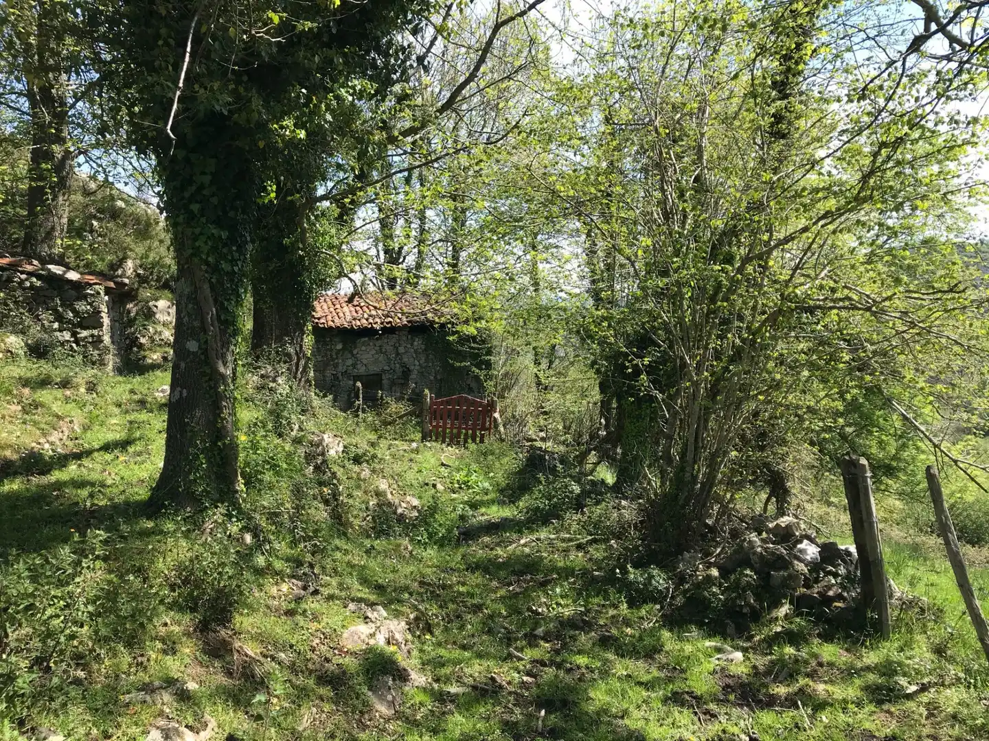 Terreno rustico in vendita a Cangas de Onís, imagen 2