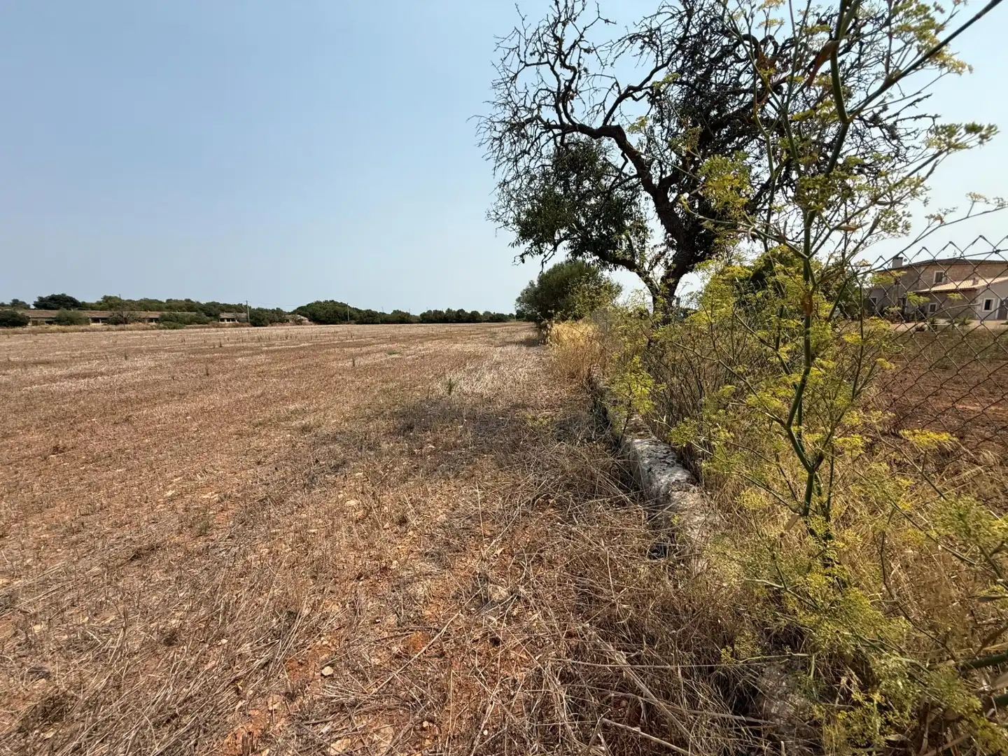 Grundstücke und Bauplätze zum Verkauf in Campos poble, imagen 3