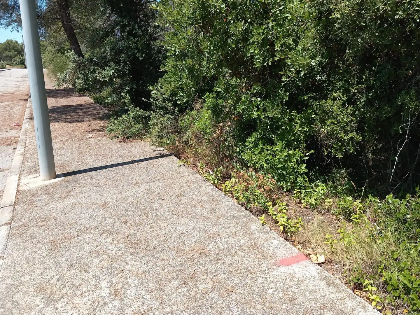 Residential land for sale in Torrelles de Foix, imagen 8