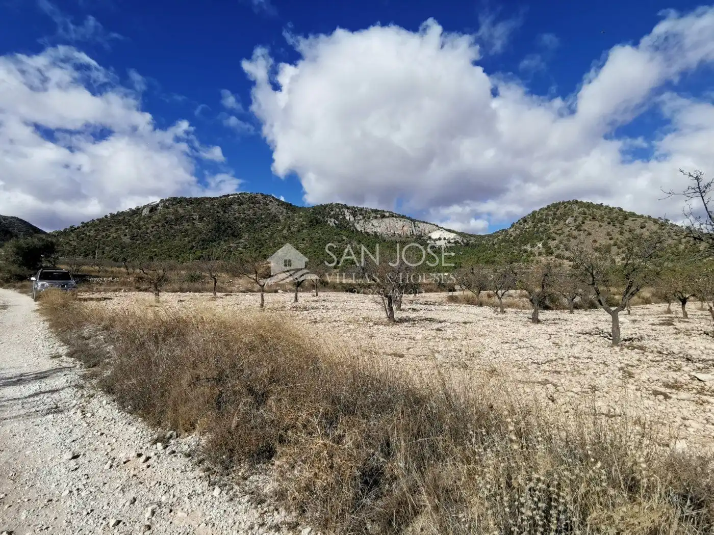 TERRENOS EN MONOVAR ZONA CAVA FRIA CERCA DE ROMANETA, imatge 3