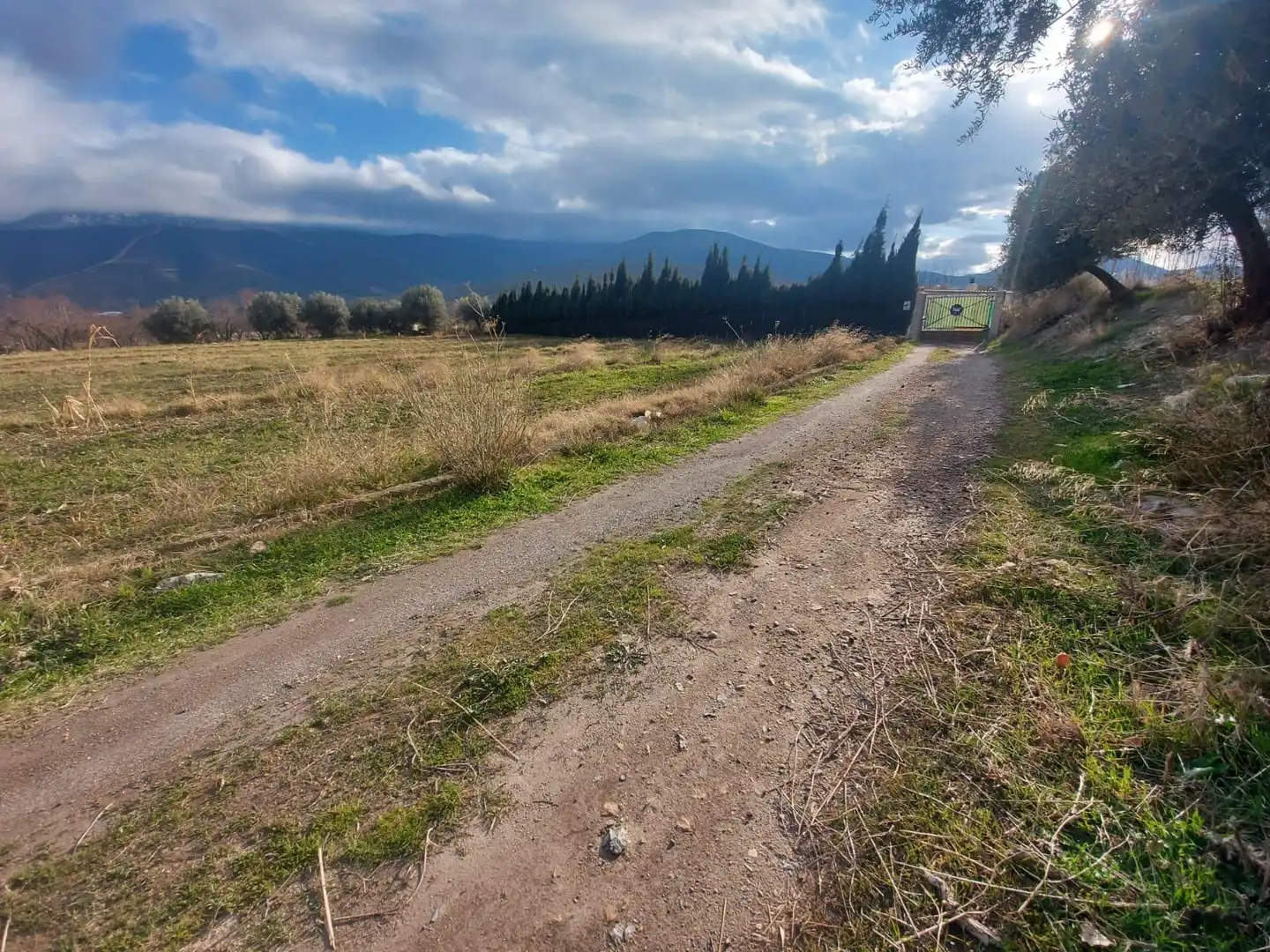 Rural land for sale in Laujar de Andarax, imagen 10