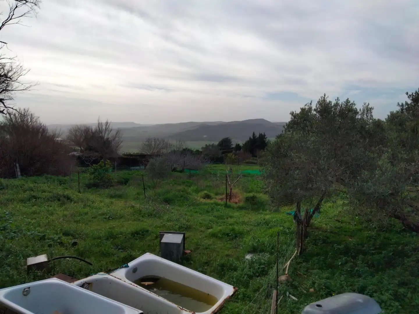 Terreny residencial en venda a Medina Sidonia, imagen 14
