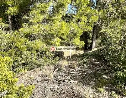 Grundstücke und Bauplätze zum Verkauf in De La República Argentina, imagen 4