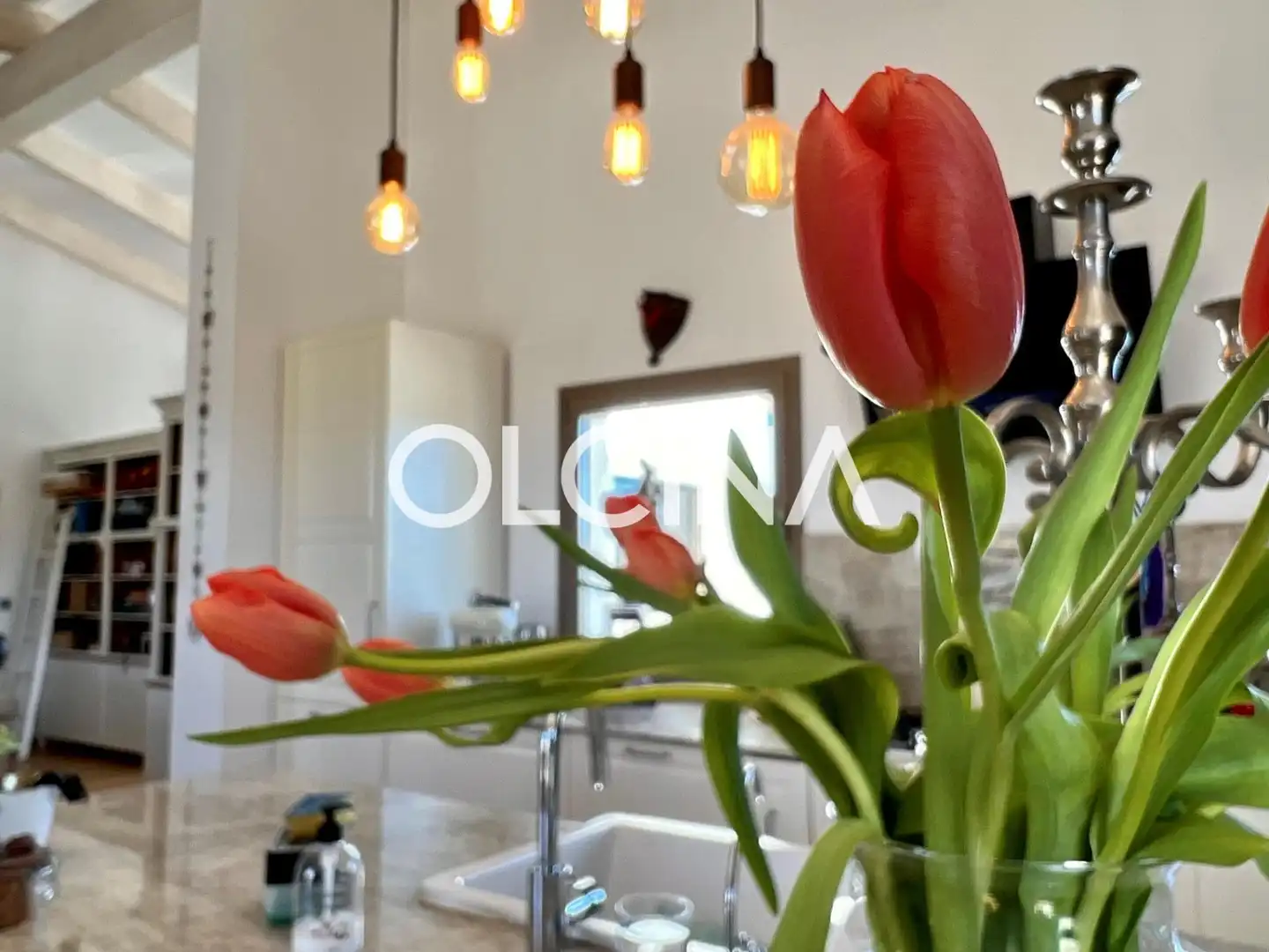 Kitchen of Buildings for sale in Castalla