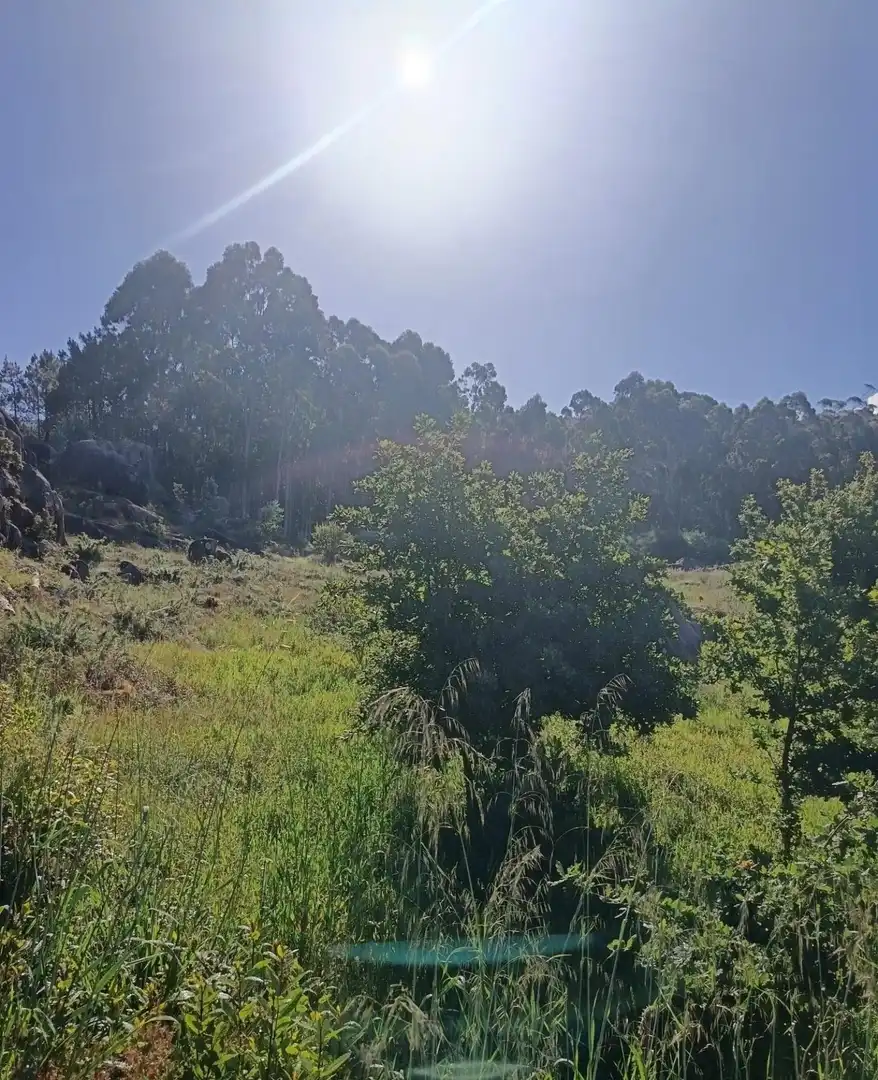 Casa o chalet en venta en Carnota con Balcón