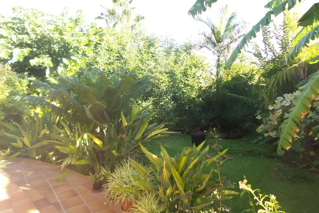 Jardí de Casa o xalet en venda en Alhaurín de la Torre amb Aire condicionat, Jardí privat i Piscina