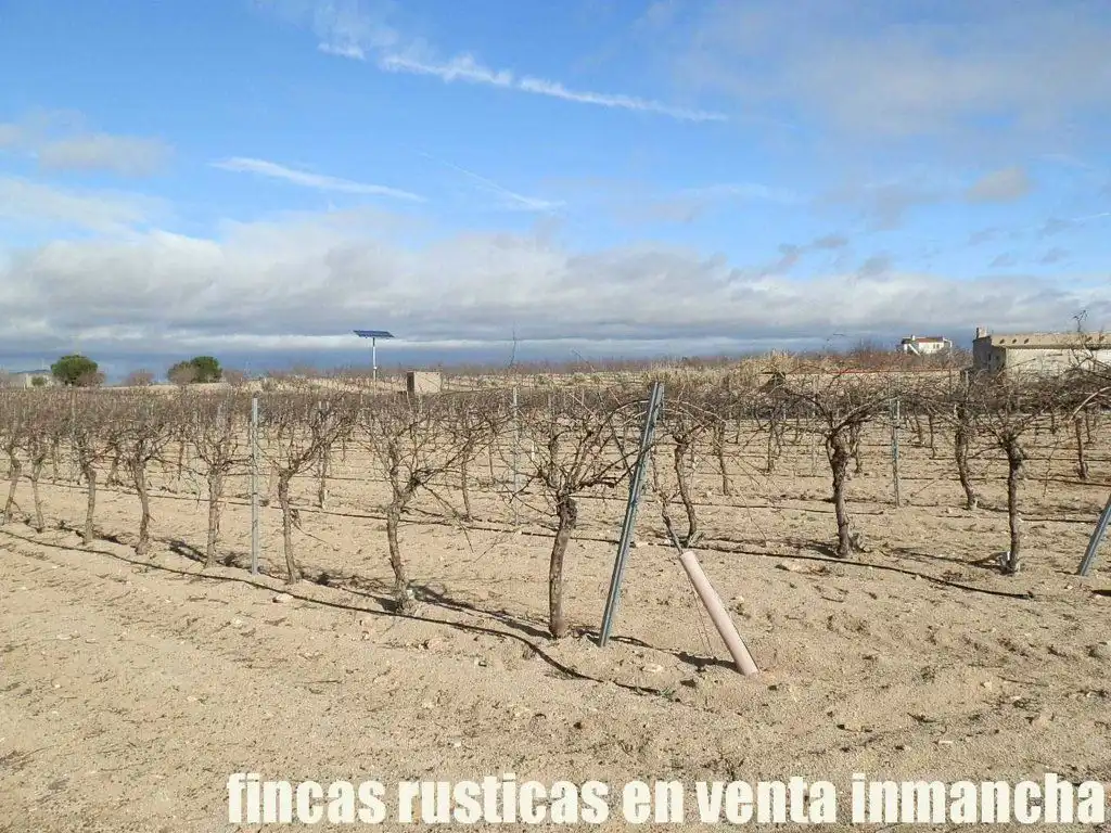 Vista exterior de Terreno en venta en Mora
