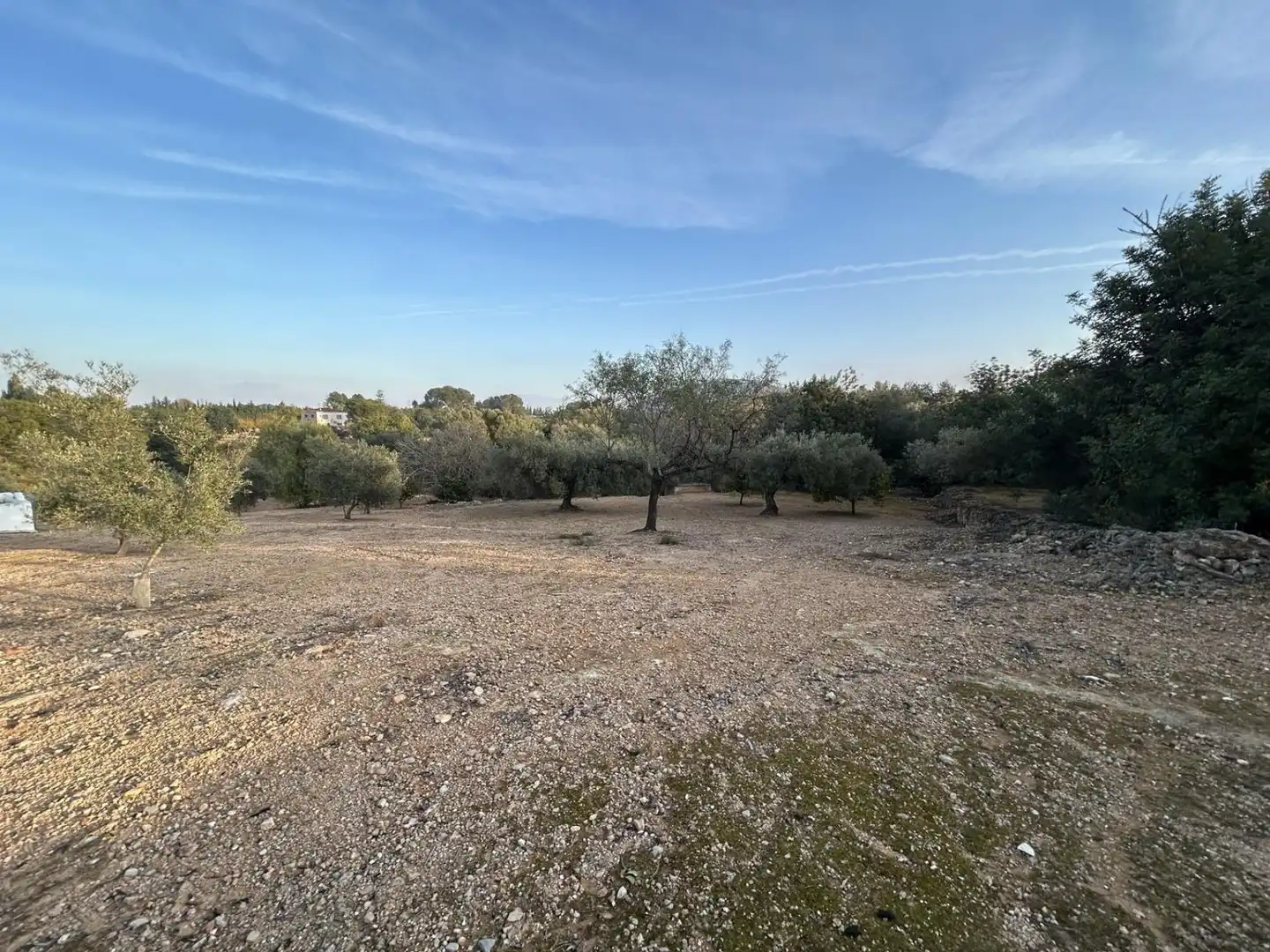 Finca rústica en venda en Masdenverge