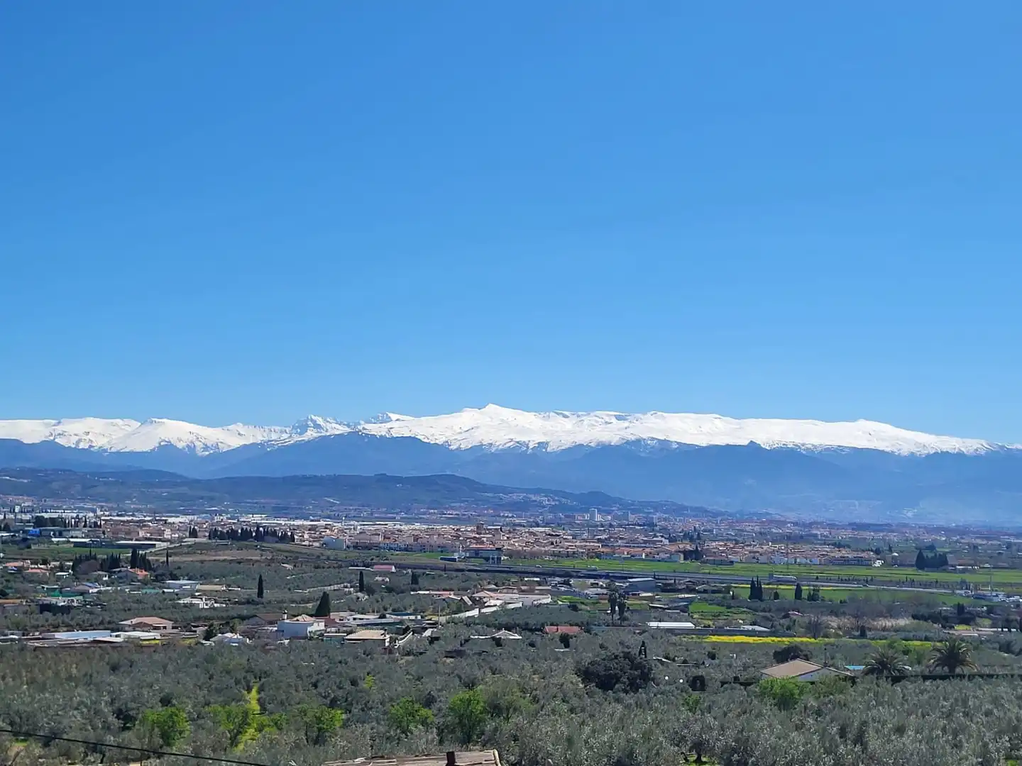 Vista exterior de Casa o xalet en venda en Albolote amb Aire condicionat, Calefacció i Jardí privat