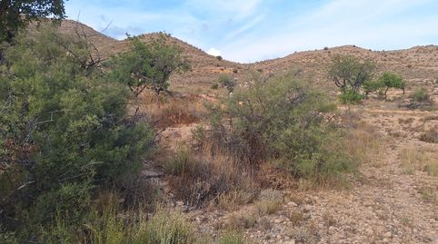 Foto 2 de Finca rústica en venda a Valle del Sol, Mutxamel