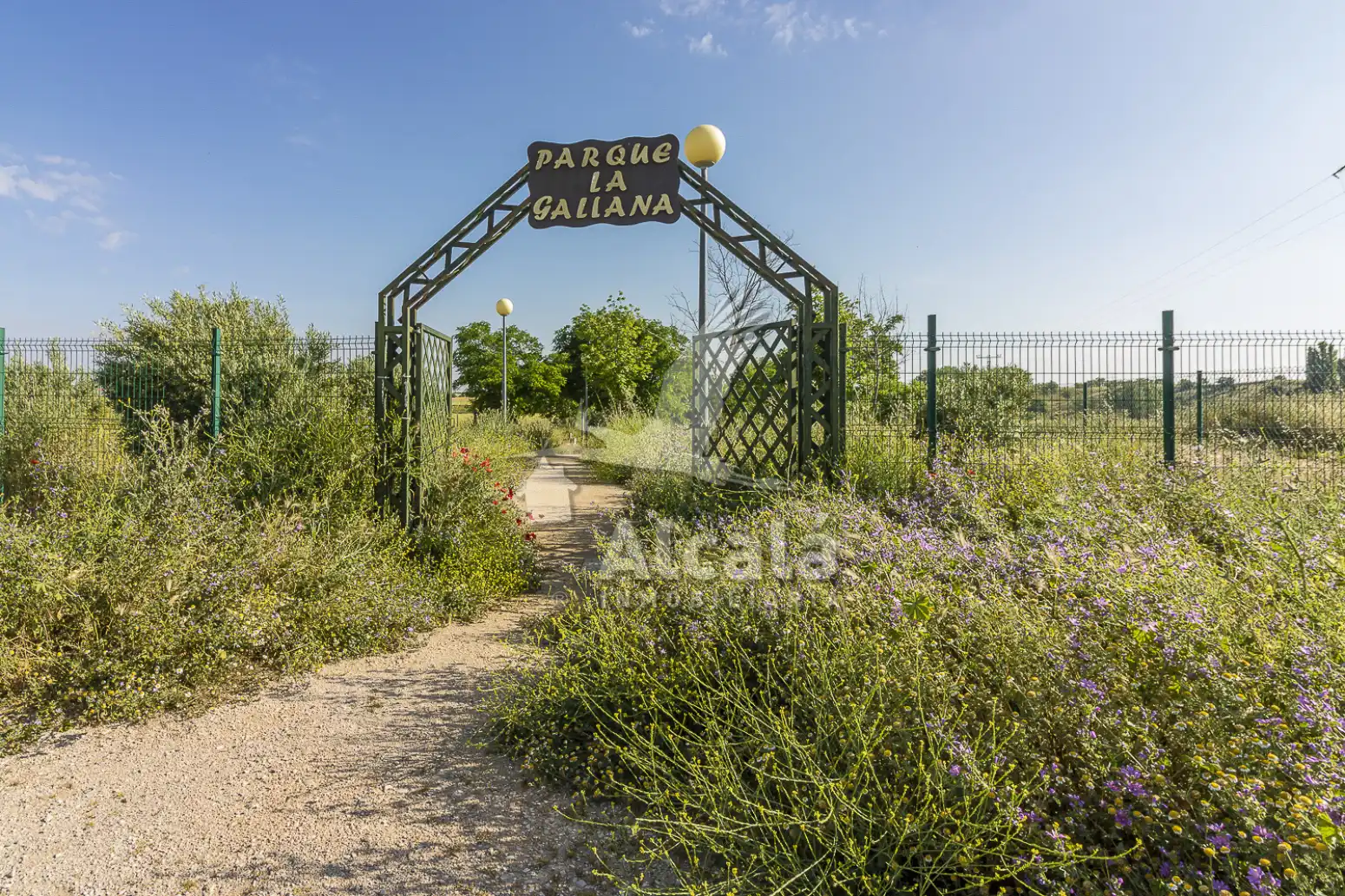 Terreno residencial en venta en Pioz, imagen 45