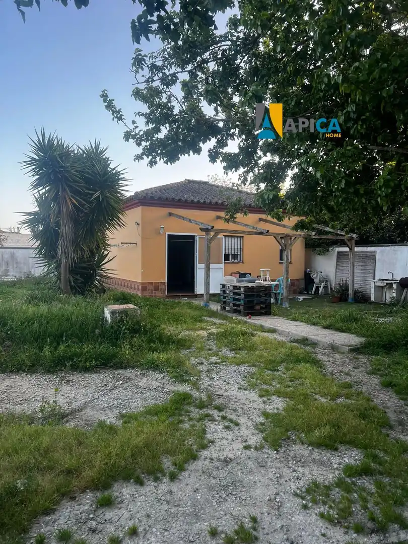 Vista exterior de Casa o chalet en venta en Chiclana de la Frontera